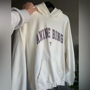 anine bing sweatshirt